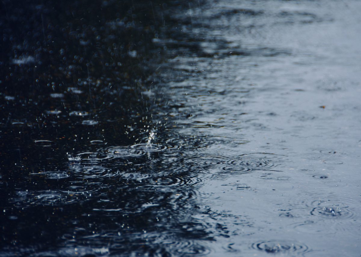 Regndroppar i en pöl
